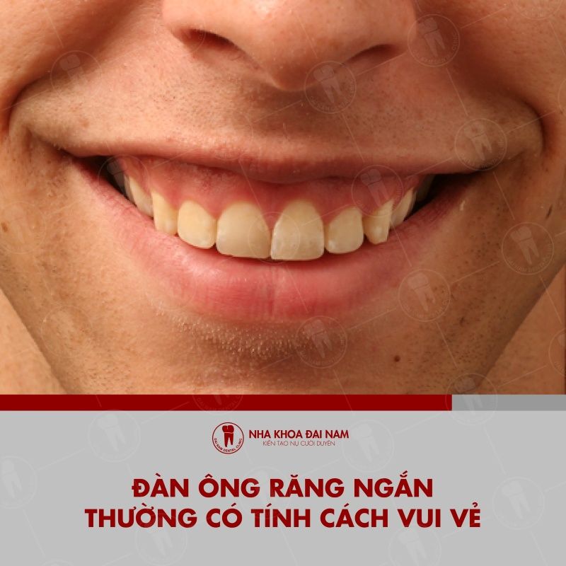 Dan ong rang ngan thuong co tinh cach vui ve