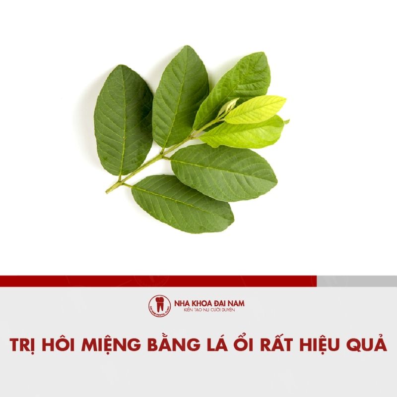 Tri hoi mieng bang la oi rat hieu qua