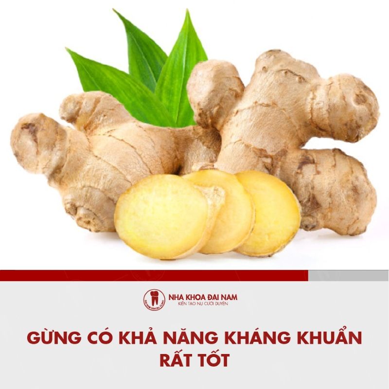 Gung co kha nang khang khuan rat tot