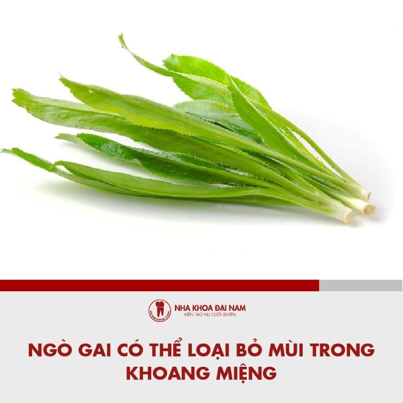 Ngo gai co the loai bo mui trong khoang mieng