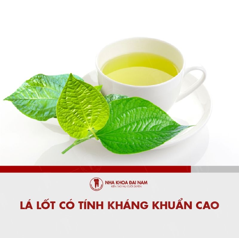 La lot co tinh khang khuan cao