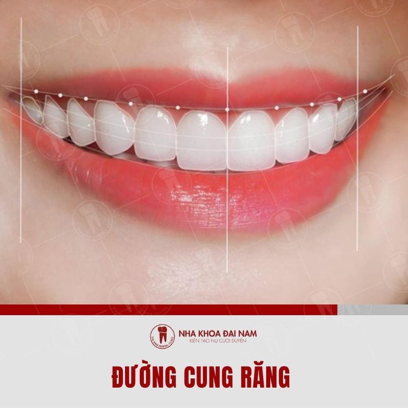 Duong cung rang la mot trong nhung tieu chi tao nen ham rang dep