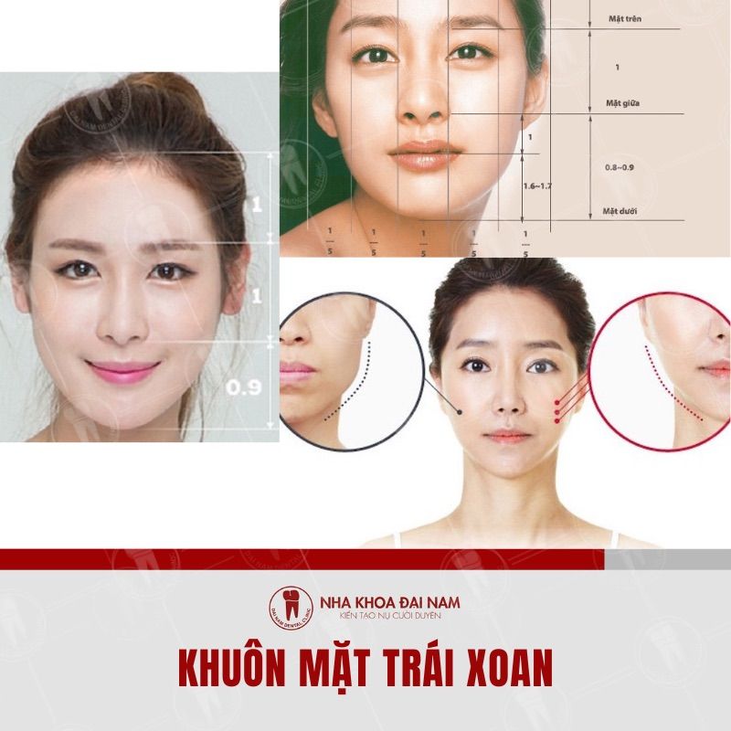 Kich thuoc chuan cua khuon mat trai xoan