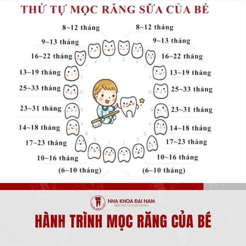 Ba me nen theo doi hanh trinh moc rang cua tre